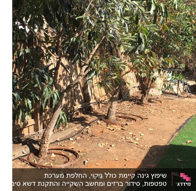 עצים עם מערכת השקיה וטפטפות בגינה